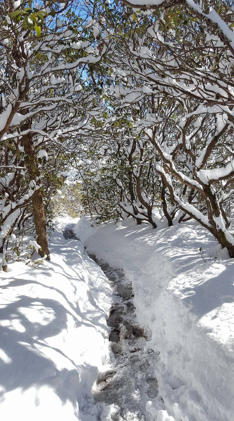 <b>Blood Mountain via the Appalachian Trail</b>. El sendero de los Apalaches a la cumbre de Blood Mountain es uno de los senderos más hermosos para practicar senderismo en invierno en Georgia, aunque es hermoso sin importar la época del año. Sin embargo, deberás estar preparado para una gran caminata porque las ganancias de elevación son bastante intensas, especialmente a través de la nieve recién caída.
<br>
<br>
<b><a href="https://goo.gl/maps/NCtXUCKKF1SDcji8A">Cómo llegar</a></b>