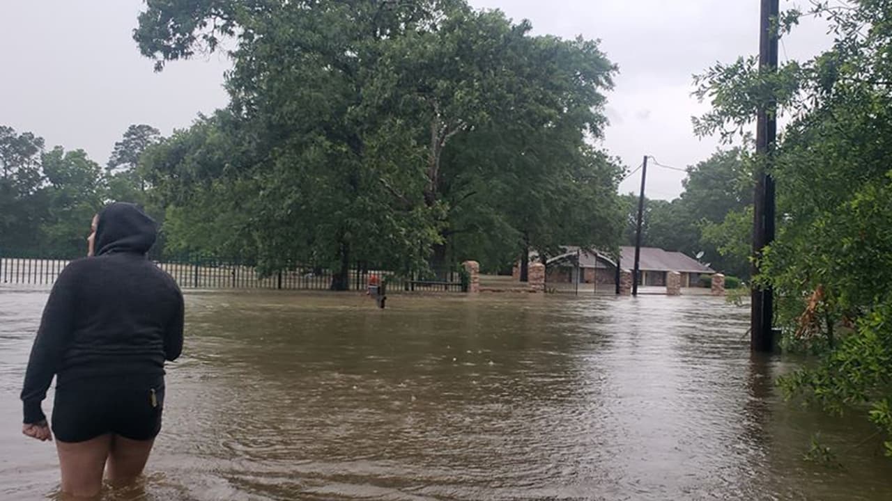 Algunas casas y propiedades se vieron afectadas por la acumulación del agua.