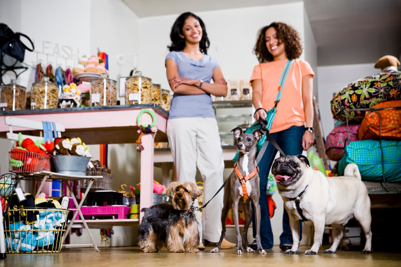 Es básico para una persona con mascotas adquirir ciertos hábitos para hacer que el animal tenga una vida plena.
