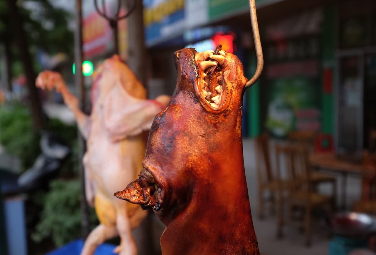 Más que una actividad legendaria, se considera que es una "tradición moderna", pues
<b>se inició solamente en la última década</b> como un intento de impulsar el comercio de carne de perro en un zona que antes no tenía antecedentes de consumir carne de perro.