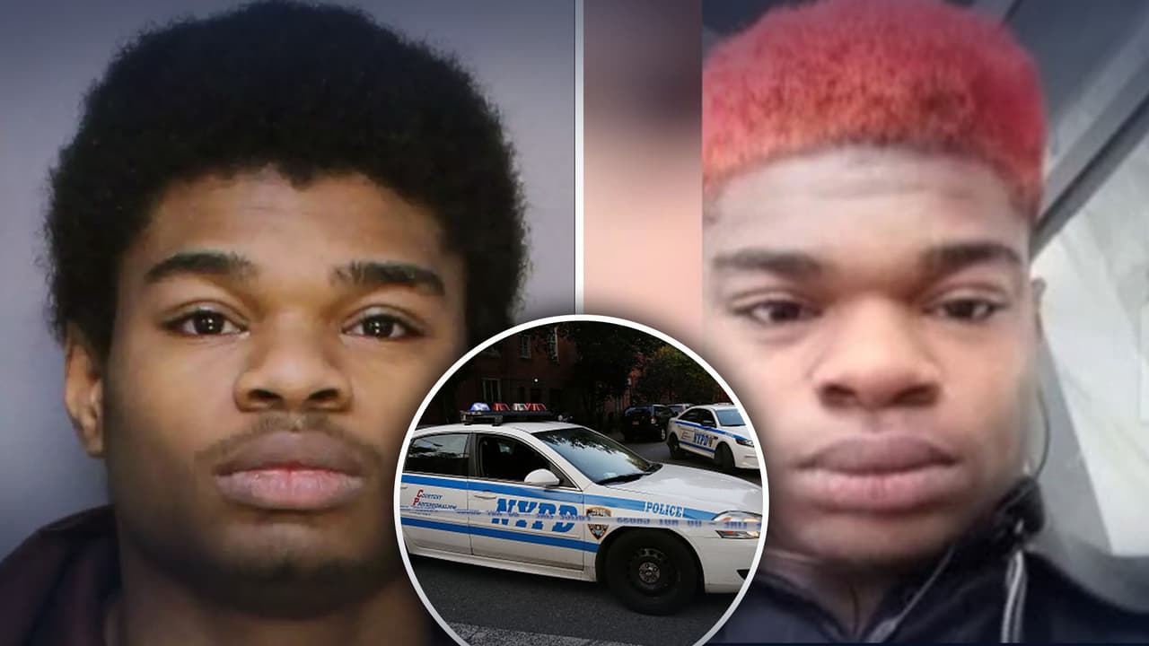 Arrestan en Manhattan al sospechoso de violar a dos gemelas de 4 años 