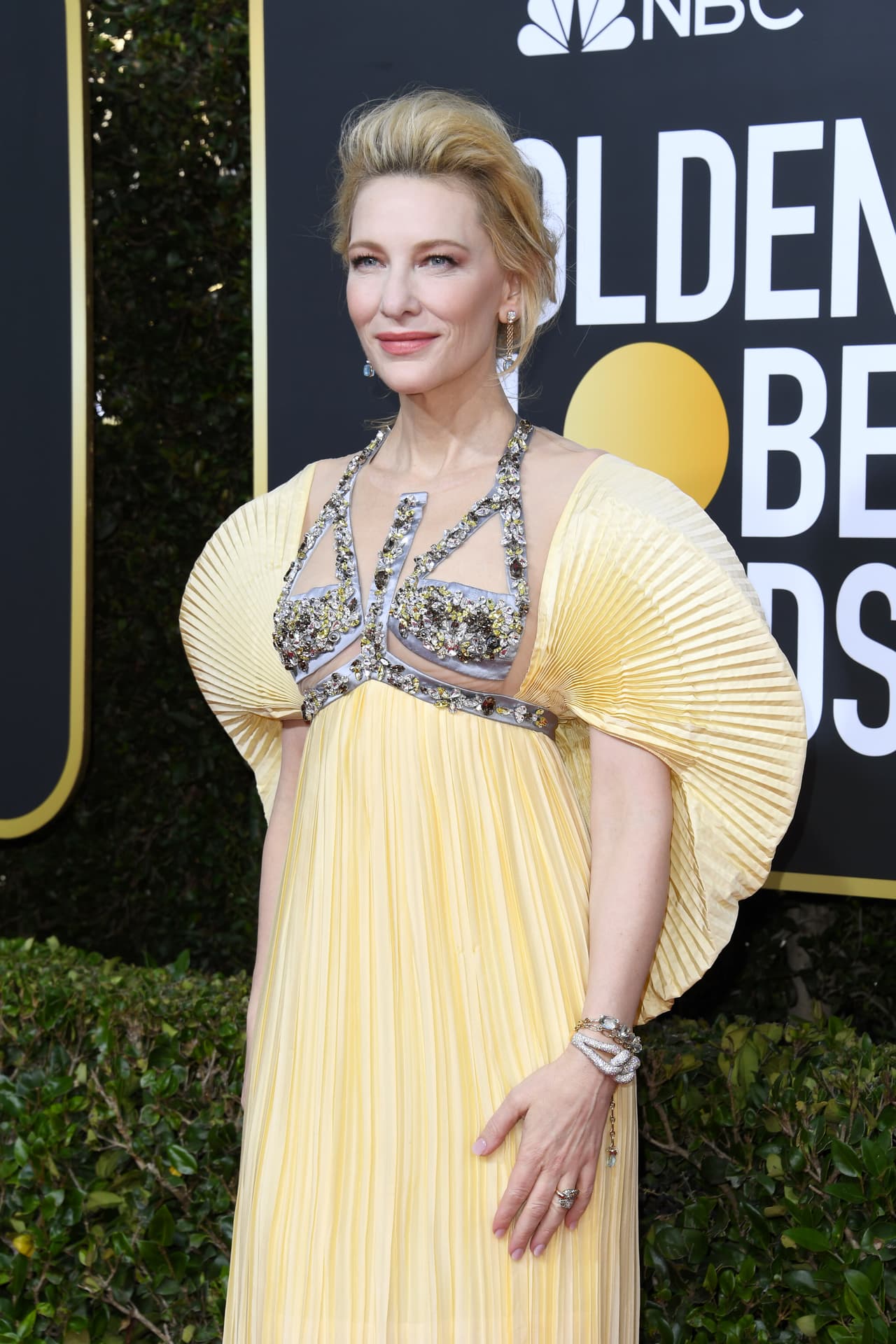El torso también fue protagonista en la elección estilística de Cate Blanchet, la actriz de ‘Where’d you go, Bernadette’ -una de las más comentadas generalmente por no tenerle miedo a los riesgos de moda.
<br>