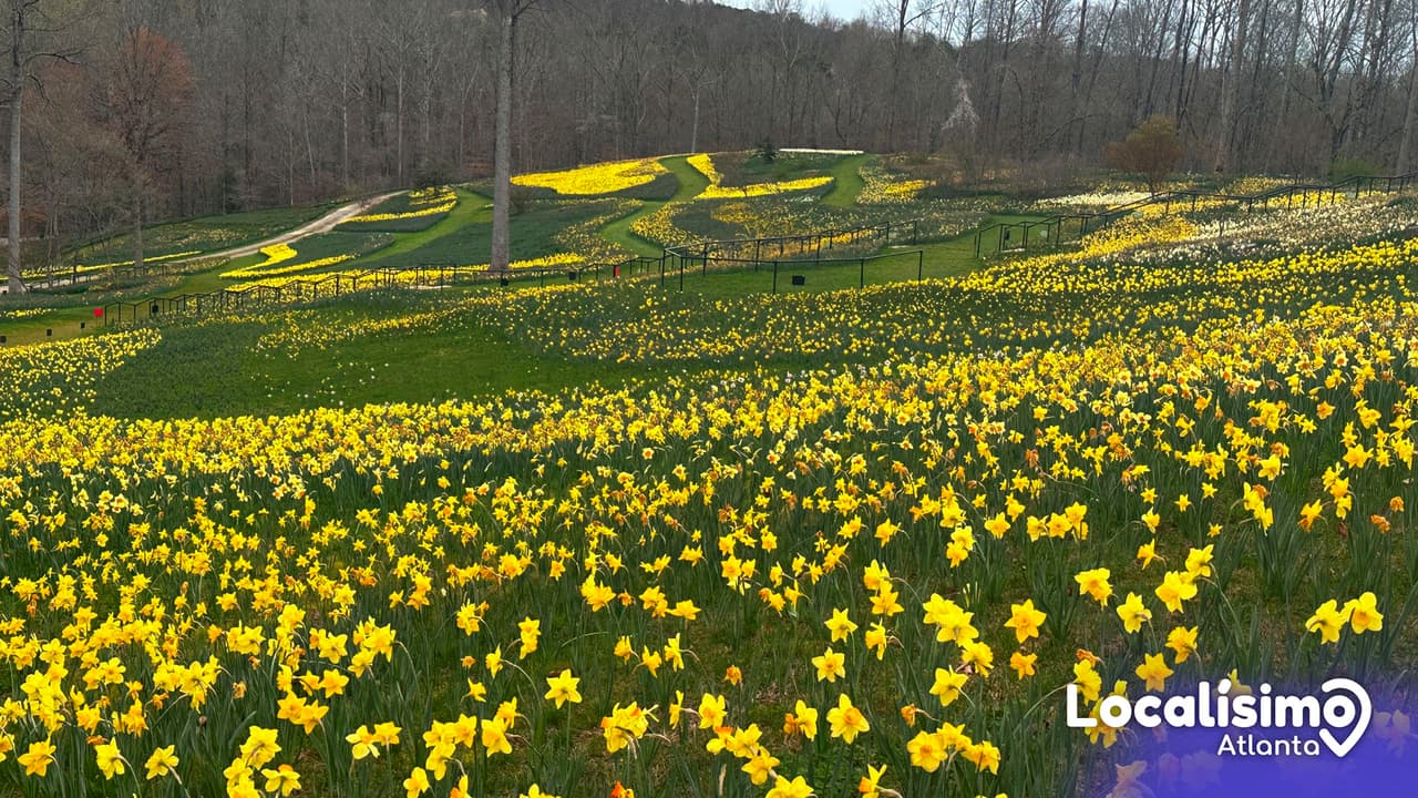 Así son los mejores jardines botánicos que podrás visitar en Georgia en 2023