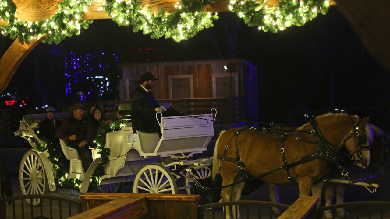 El recorrido por el sendero de las luces del parque se puede hacer en carruajes tirados por caballos. Hay un costo extra.