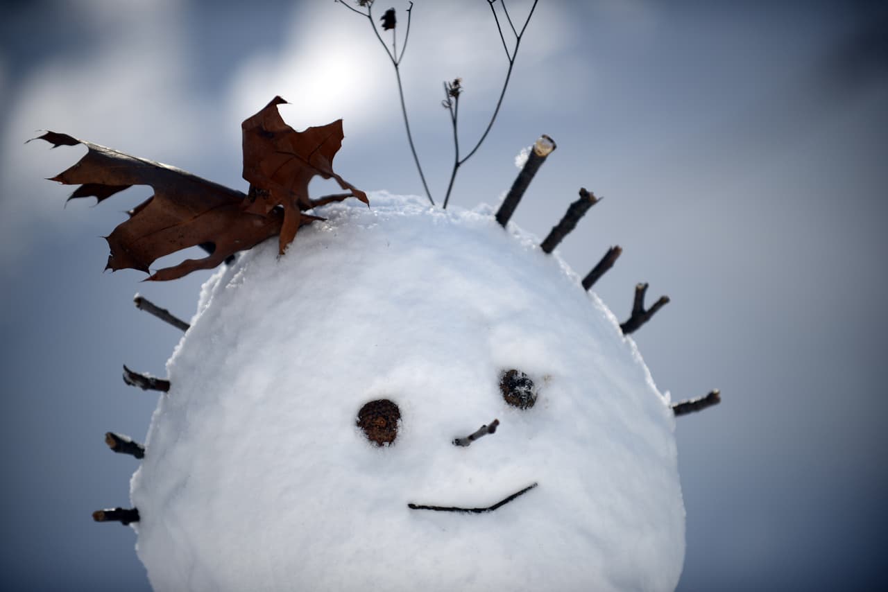 Estas imágenes te harán recordar los buenos momentos que has tenido en el invierno.