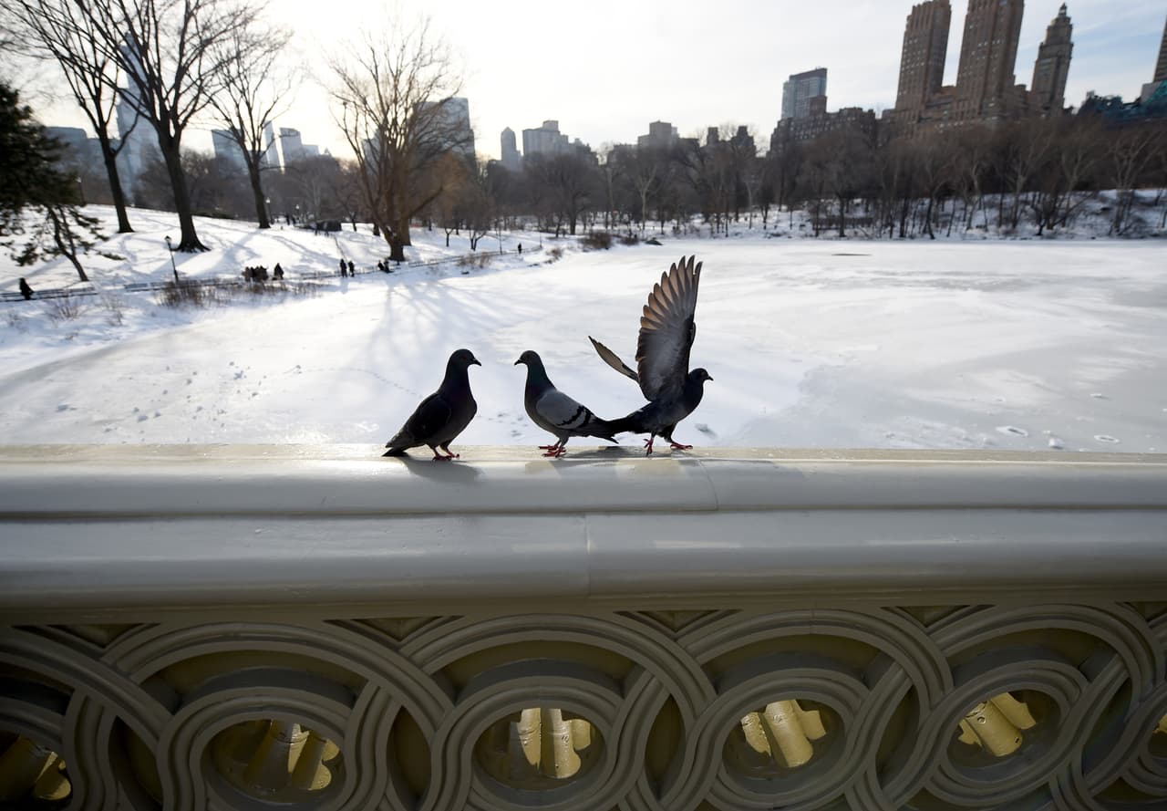Estas imágenes te harán recordar los buenos momentos que has tenido en el invierno.