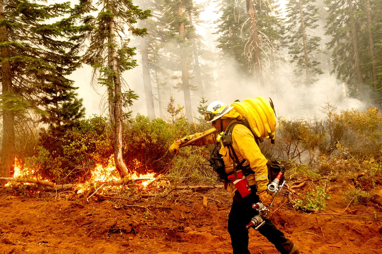 El jefe del Batallón de Bomberos de Cal, Craig Newell,
<b>lleva una manguera mientras lucha contra el incendio</b> del Complejo Norte en el Bosque Nacional Plumas, California.