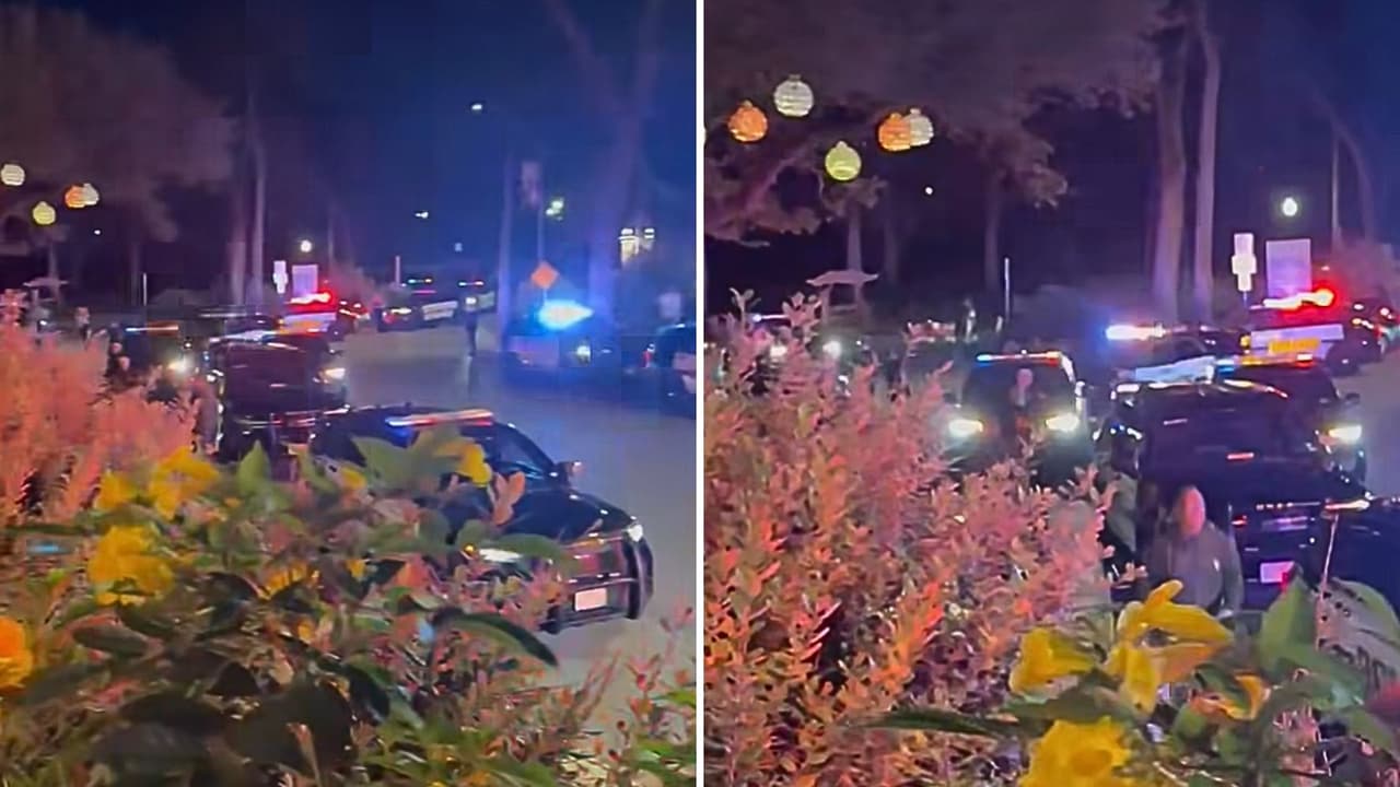 Detienen a hombre acusado de apuñalar a 2 personas en el Zoológico de San Antonio