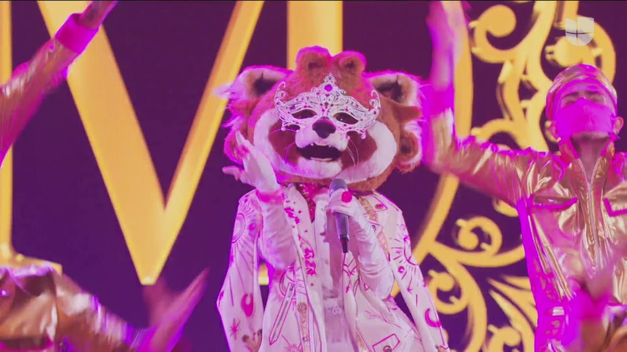 Mapache volvió a desbordar sensualidad y ahora con la canción 'Attention'. El panel mencionó los nombres de Greicy Rendón, Sofía Reyes y Becky G como las posibles personalidades detrás de ese disfraz.