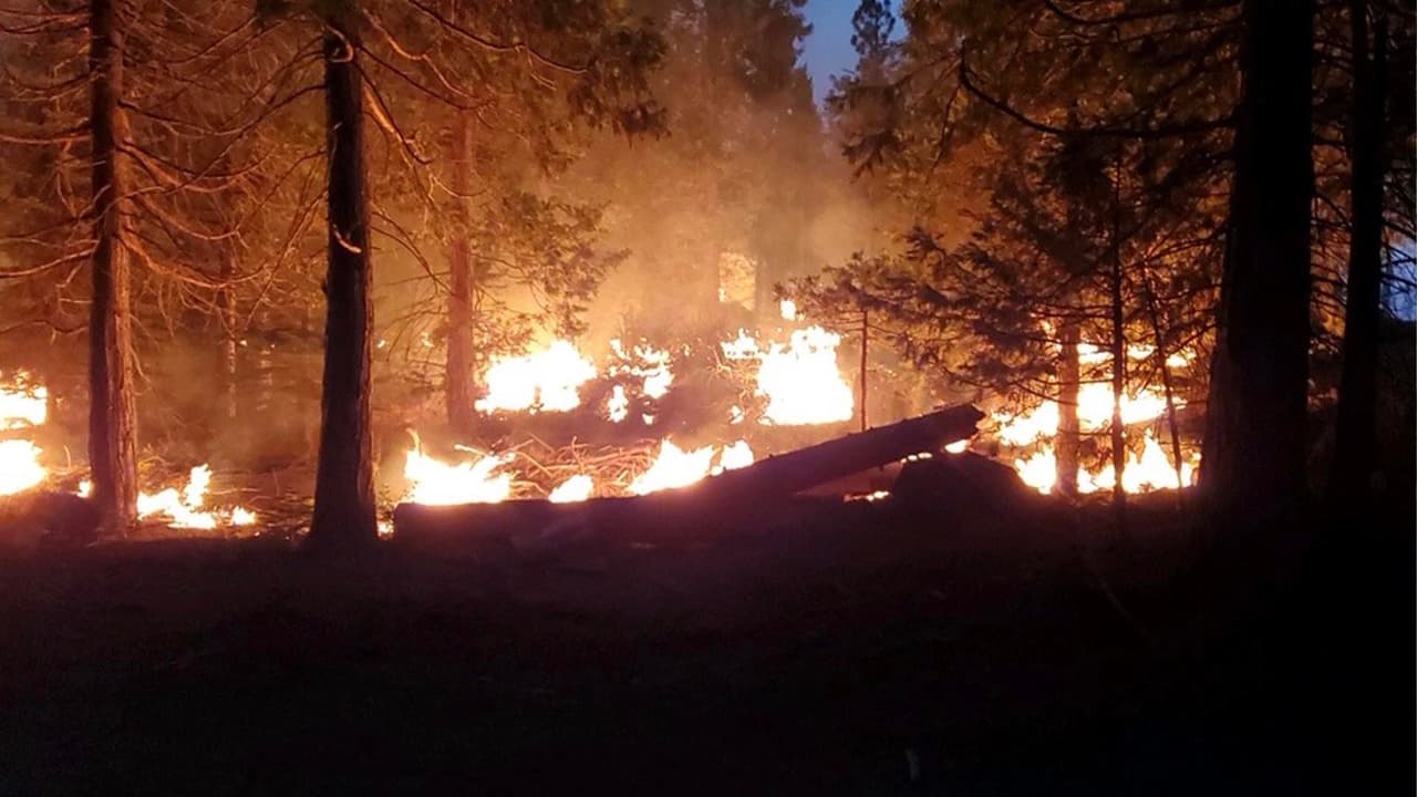 Los bomberos estuvieron por dos semanas ayudando a sus colegas de 
<a href="https://www.univision.com/temas/california">California</a> a batallar contra unos incendios que ya son considerados como unos de los más grandes en la historia.