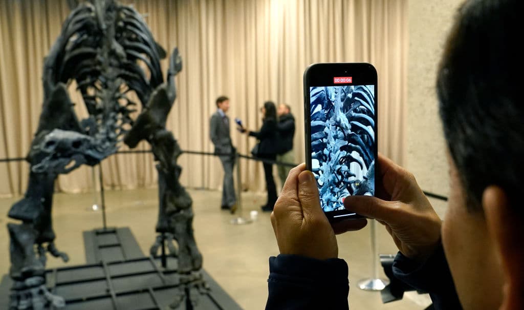 El préstamo incluye fondos para investigación y documentación del espécimen, incluyendo escaneos tridimensionales que estarán disponibles para investigadores. El museo también planea crear una réplica del fósil para exhibición permanente tras finalizar el período de préstamo.