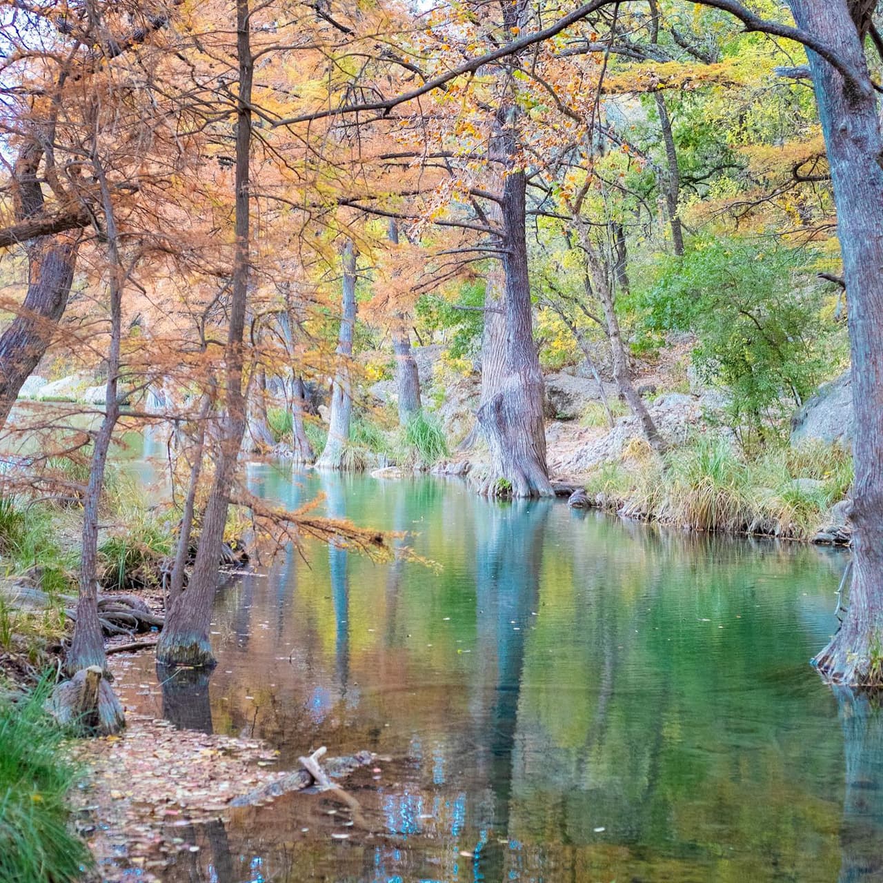 Hay cañones profundos, arroyos cristalinos, altas mesetas y acantilados de piedra caliza tallados que caracterizan el parque.