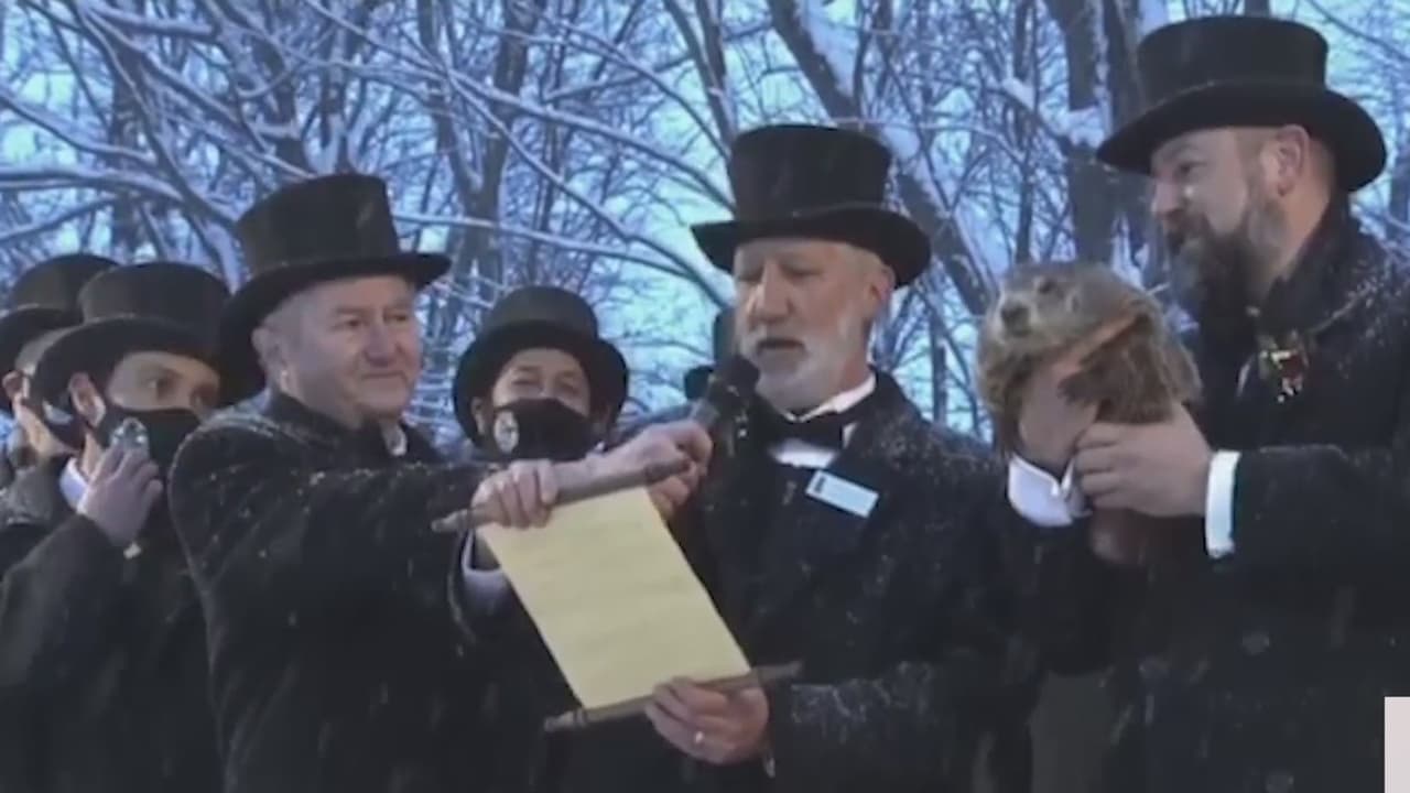 Bajo un intenso frío y densa nieve la marmota más famosa de Estados Unidos, Punxsutawney Phil, hizo su predicción y según el peludo pronosticador tendremos otras seis semanas de invierno.