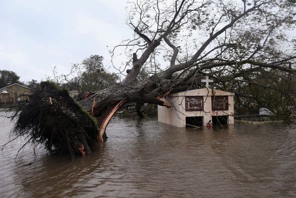 Voluntarios de Puerto Rico apoyan operación de Cruz Roja Americana, que brinda refugio a miles de afectados por inundaciones en Luisiana