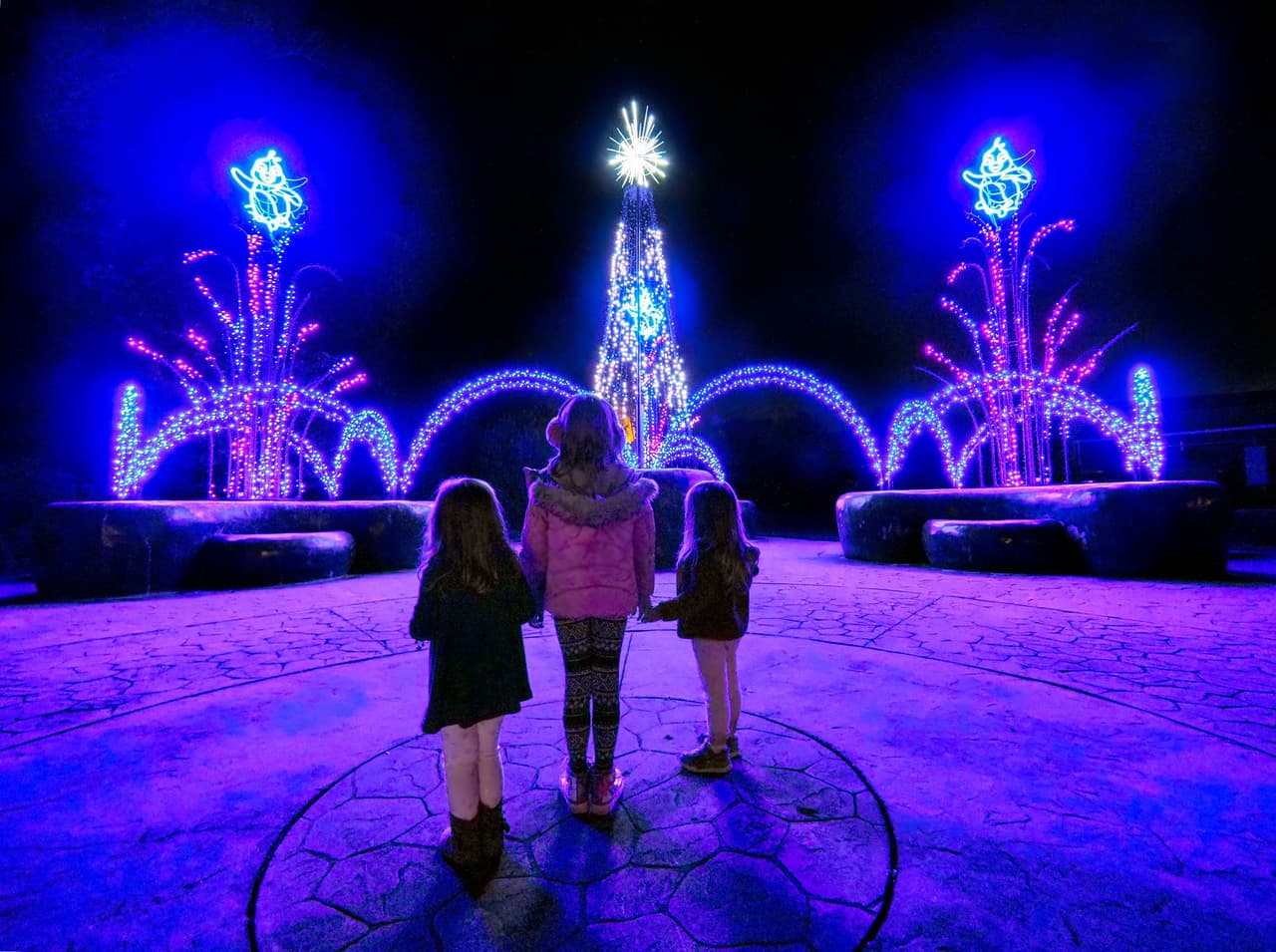 <b><a href="https://www.greensboroscience.org/winterwonderlights/" target="_blank">Winter Wonderlands (hasta el 2 de enero)</a></b>: El Centro de Ciencias de Greensboro te invita a celebrar de manera segura con sus seres queridos en Winter Wonderlights. Con 12 reinos mágicos de sonidos alegres y luces brillantes, esta experiencia de recorrido está marcada y cronometrada para garantizar un distanciamiento social adecuado, según sus organizadores.