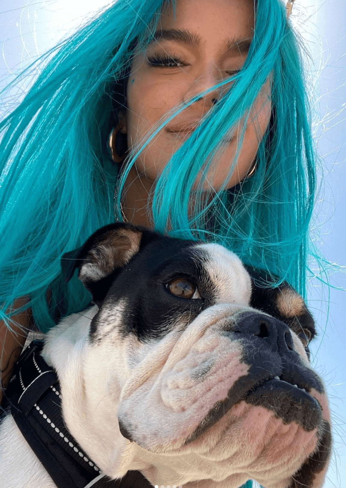 Actualmente,
<a href="https://www.univision.com/musica/imitadora-de-karol-g-arrasa-en-tik-tok-fotos">Karol G</a> dona recursos financieros a varias fundaciones, que no solo se encargan de la protección de los derechos humanos, sino también de los animales.