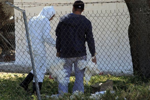 El consumo per cápita anual es de 22.4 kilogramos de huevo por año, según la Unión Nacional de Avicultores, es decir que cada mexicano consume entre 350 a 400 unidades por año.