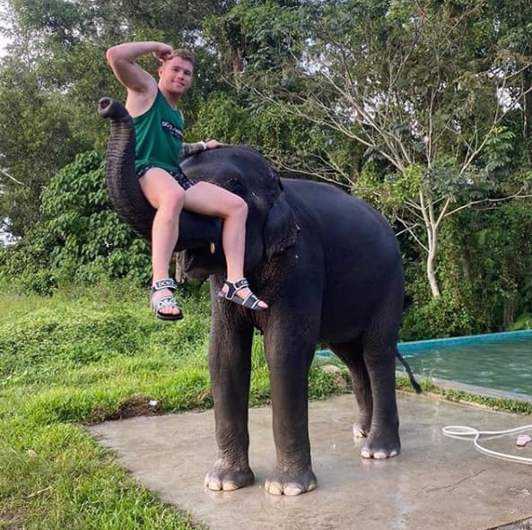 'Canelo' compartió en su cuenta de
<b><a href="https://www.instagram.com/p/B5fdxI4H5mo/" target="_blank">Instagram</a></b> una foto en la que aparece junto a un bebé elefante; su novia también publicó otra imagen con un paquidermo.