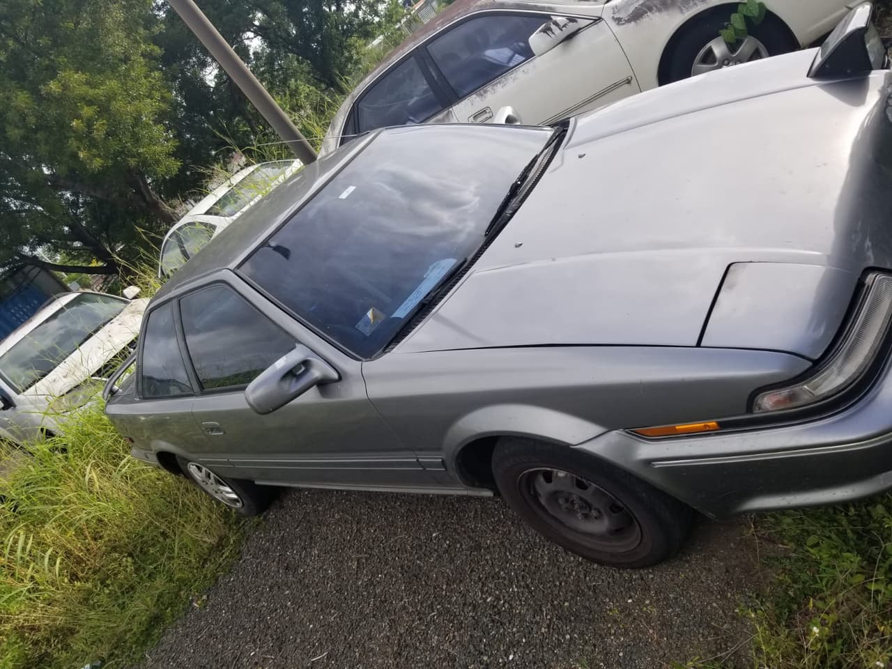 Policía realiza varios arrestos durante operativo en Mayagüez 