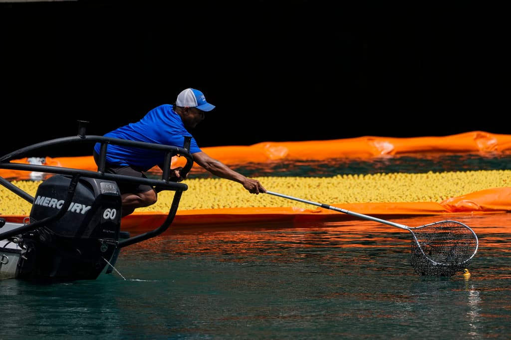 La carrera se desarrolló en un tramo del río Chicago rodeado de edificios de gran altura. Una vez en el agua, los patitos formaron una acumulación visible y luego continuaron corriente abajo, donde se seleccionaron dos piezas como ganadoras.