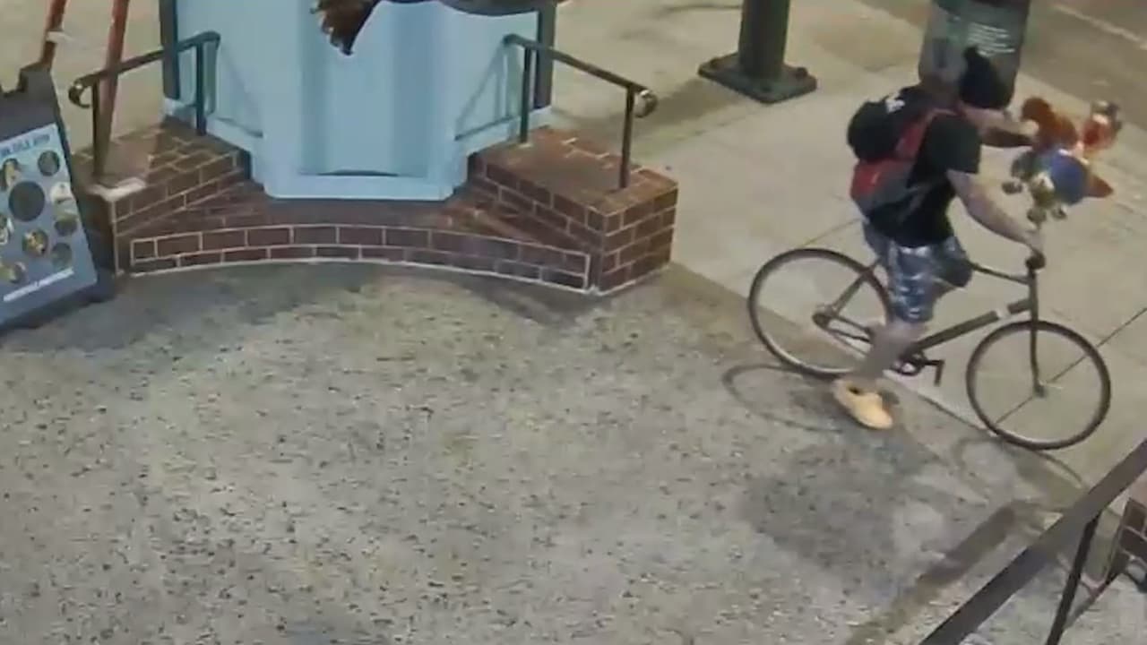 Se roban cuatro alebrijes de la fachada de un local en San José: el hurto quedó en video