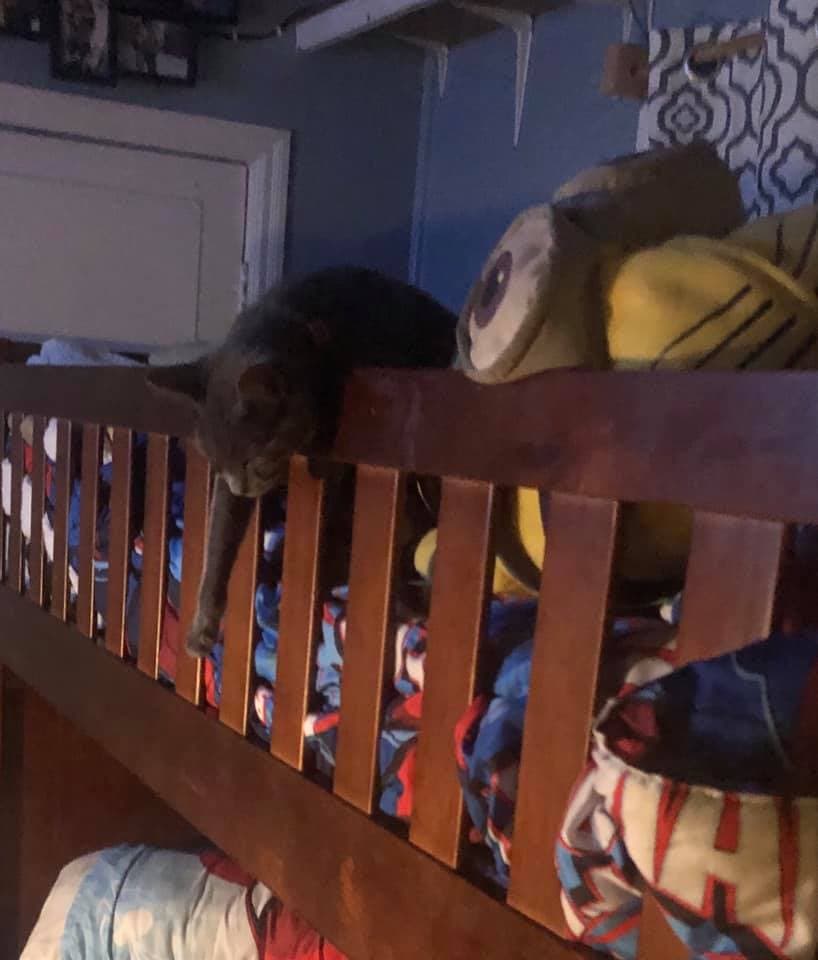 "Y ella es mi pequeña Deisy" - Treicy Perez de Flores