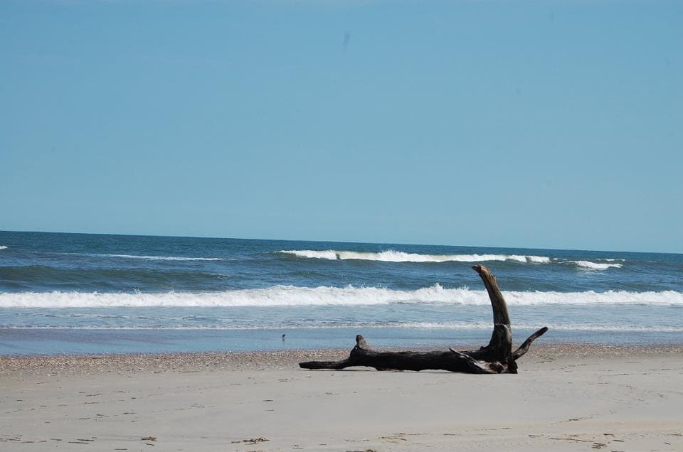 Si has anhelado unas vacaciones relajantes que no requieran itinerarios establecidos ni conducir por todos lados para disfrutar, Carova Beach te está esperando.