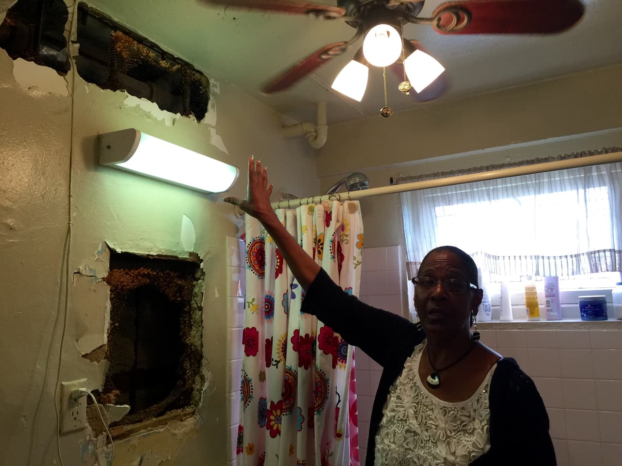 Inquilina de vivienda pública en Nueva York vive más de un año entre el moho y peste