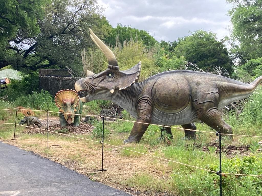 Los precios de las entradas para el Dallas Zoo son:
<br>👧 Niños: Fin de semana $17 y Días de la semana $16
<br>👨Adultos: Fin de semana $22 y Días de la semana $20
<br>👶Menores de 2 años: Entrada libre
<br>🚗 Y el
<b>estacionamiento cuesta $10</b>