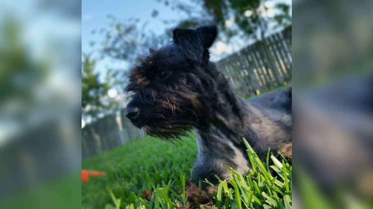 "Ella es mi bebe Manuela". Laura Villarreal