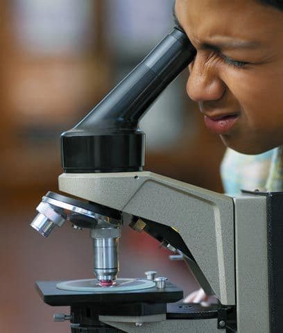 Ciencia y tecnologíaLos campamentos que se enfocan en diversos campos de las ciencias y la tecnología se encuentran en todo el país para niños de todas las edades.El Museo Nacional de Ciencia e Historia Nuclear de Nuevo México ofrece cada verano un campamento donde los niños podrán aprender y tener un acercamiento  a temas de robótica, biología, ingeniería, química, física, etc.Más información: www.nasa.gov
