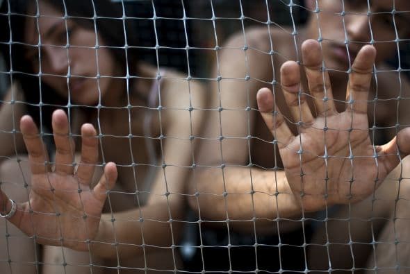 Por ello, la solución más eficaz planteada por AnimaNaturalis es adoptar y esterilizar. Estas acciones son la clave para finalizar rotundamente la situación de millones de perros y gatos en México.