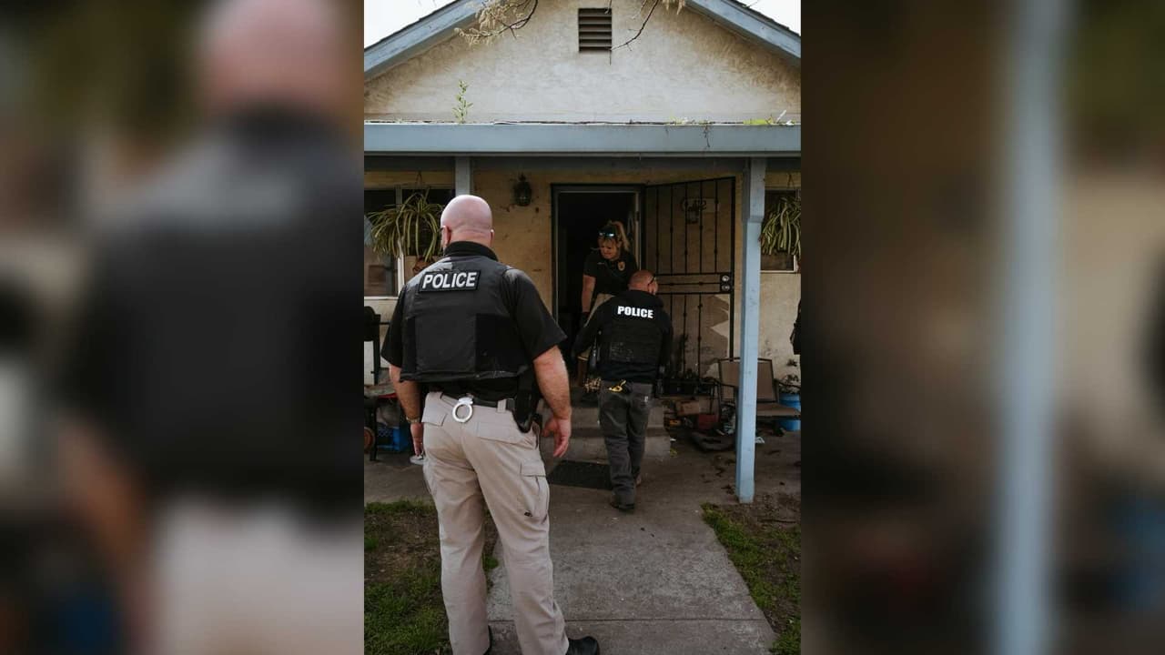 El refugio, debido al gran número de perros acogidos, no aceptará la entrega de ningún perro por parte de sus dueños hasta nuevo aviso.