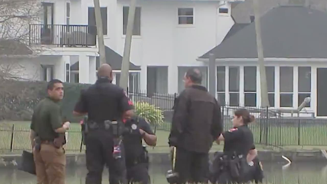 Vecinos del área reportaron que se han visto lagartos en el lago, lo cual fue confirmado por el jefe Partida. Hasta el momento no se ha dado a conocer más información y la 
<b><a href="https://www.univision.com/temas/investigacion">investigación</a></b> continúa.