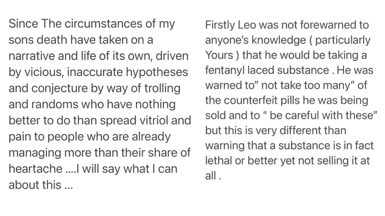 Drena De Niro defiende a su fallecido hijo.