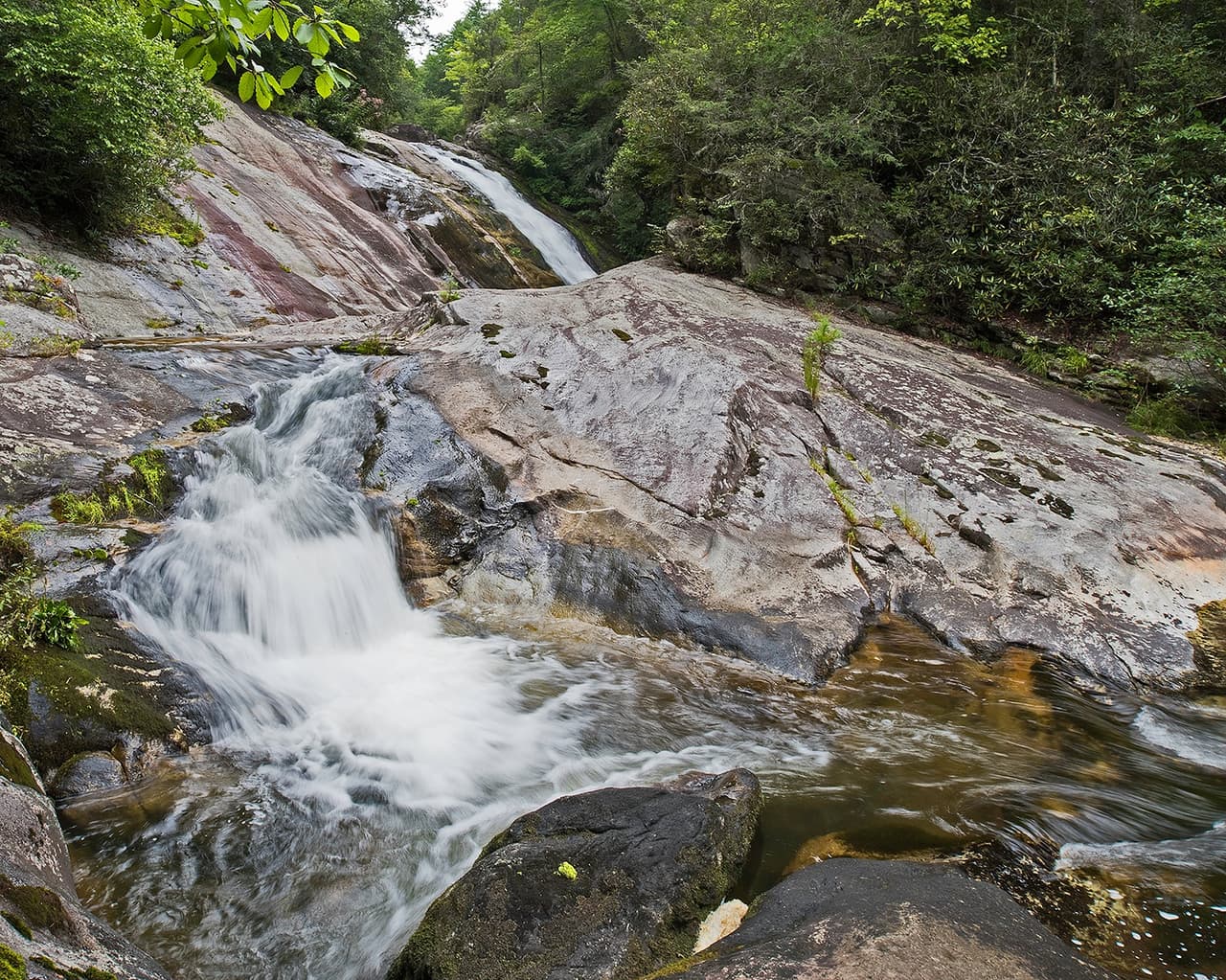 La segunda ruta, Newt Falls – Steels Creek Falls, es considerada una ruta desafiante, toma un promedio de 3 horas para completarla. Este sendero es ideal para acampar y hacer caminatas.