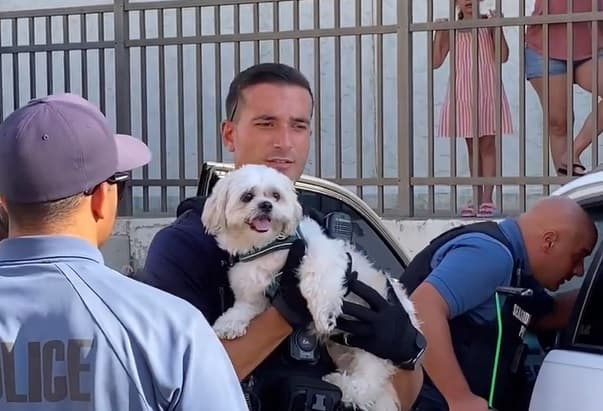 Policía de Nueva Jersey rescata a perro olvidado dentro de auto