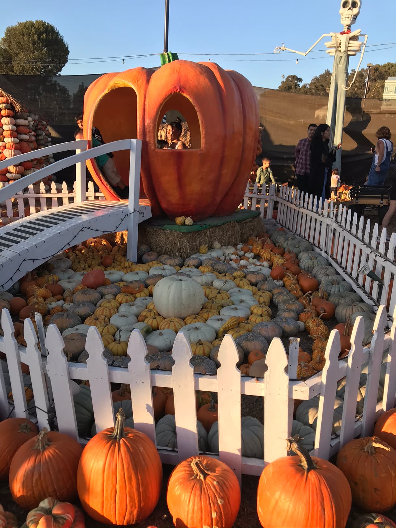 Todas estas calabazas las puedes encontrar durante un recorrido decorado con los frutos de temporada en Los Ángeles.