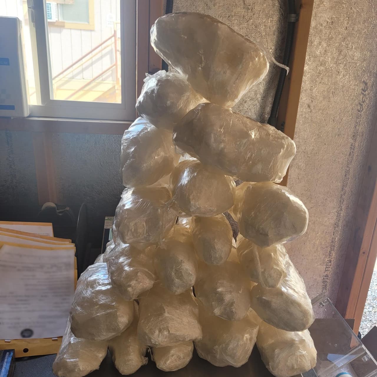 Agentes del Sector Tucson incautaron 50 libras de metanfetamina luego de una parada de vehículos cerca de San Miguel, la semana pasada. El traficante, un ciudadano estadounidense, enfrenta cargos criminales.