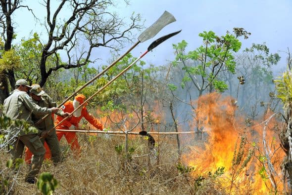 Cerca de 300 personas trabajaron para apagar las llamas que en algunos lugares alcanzaron los diez metros de altura.