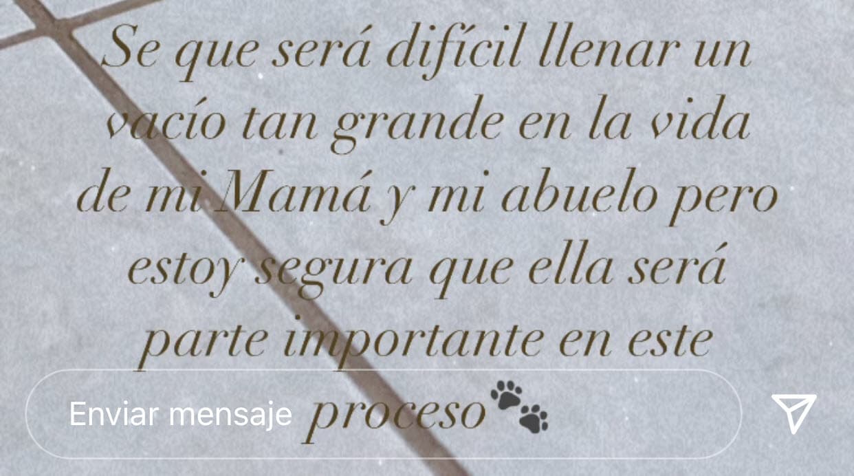 La exconductora de
<b>Despierta América</b> reconoció que "será difícil llenar un vacío tan grande en la vida" de su madre, Alicia Montes, y de su abuelo, pero que esta nueva integrante de la familia "será parte importante en este proceso".