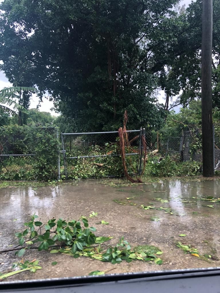 En el sur de Miami las ramas de los árboles cayeron al piso obstaculizando el paso de la vía.