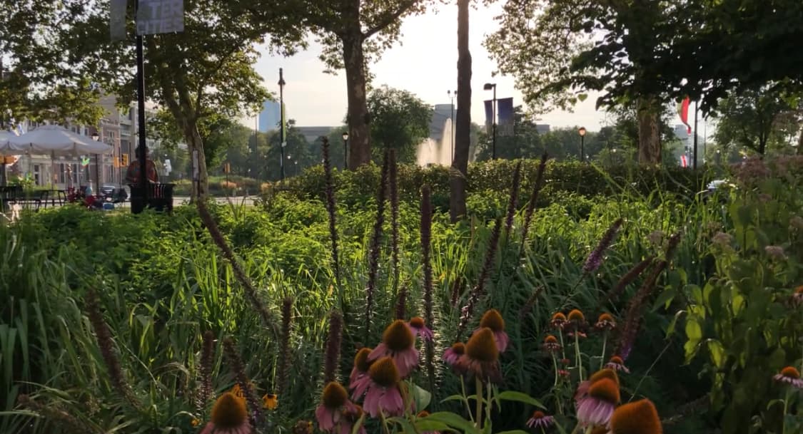 Esta primavera, se despejaron los setos que bloqueaban la vista para hacer espacio para el nuevo jardín, que estará ubicado en el extremo sureste del parque, donde se encuentran North 18th Street y Ben Franklin Parkway.