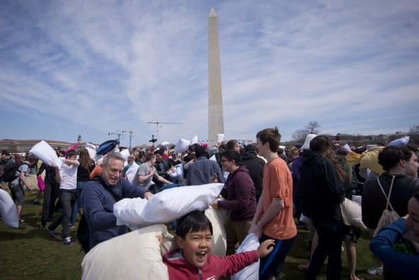 Inmersos en una lucha en la que quedaron cubiertos de plumas.