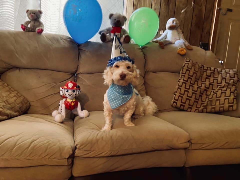A puchy lo celebraron con globos y con una foto del día de su cumpleaños.