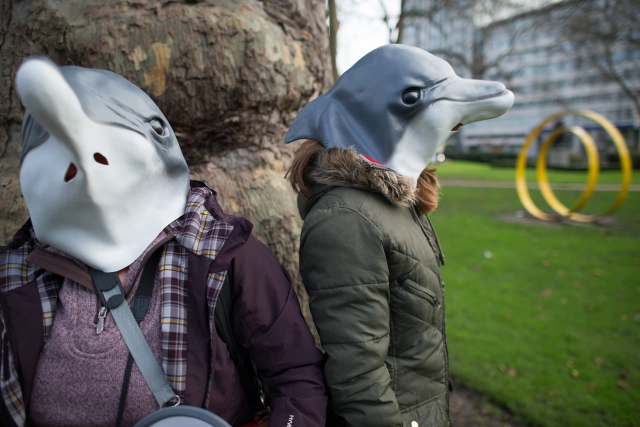 De acuerdo con la Sociedad de Conservación Oceánica, la organización que produjo el documental The Cove, un delfín vivo puede costar más de 200.000 dólares. De allí que las organizaciones ambientales insisten en el valor de evitar sus capturas.
