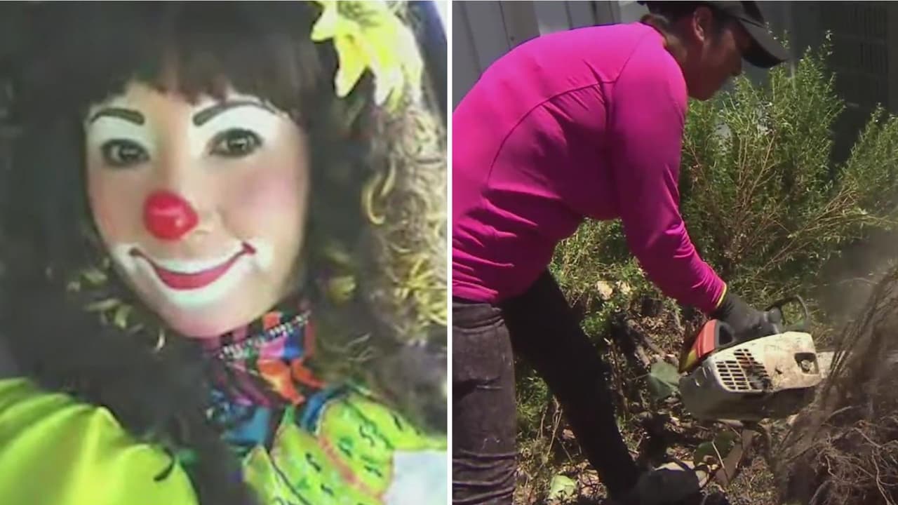 Antes de la pandemia trabajaba amenizando fiestas infantiles: ahora se dedica a la construcción