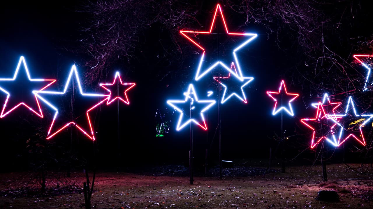 El show está disponible desde el 19 de noviembre hasta el próximo 2 de enero de 2022.