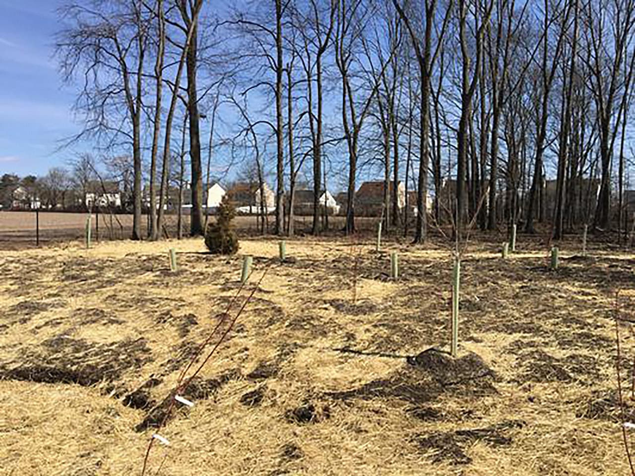 <b>Puesto</b> 
<b>13. Relleno Sanitario Watson Johnson, en Richland, Pennsylvania. 70.7 puntos en el sistema de clasificación de peligros. </b>Funcionó desde fines de la década de 1950 hasta principios de la década de 1970 y un compuesto orgánico utilizado en el relleno contaminó algunos pozos domésticos 
<a href="https://www.univision.com/noticias/medio-ambiente/desechos-tecnologicos-nucleares-y-de-la-mineria-ilegal-los-12-lugares-del-planeta-mas-devastados-por-la-contaminacion-fotos-fotos">generando un problema de salud pública</a>. Entró en la lista de prioridades de la EPA en 2001 y luego de un trabajo de distribución de las aguas la agencia afirma desde 2006 que no hay agua potable contaminadas.