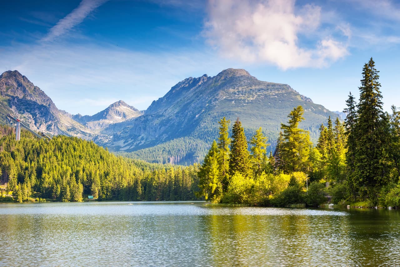 Para Piscis, un estanque puede ser un lugar poético, donde aún en el medio del fango haya un loto.